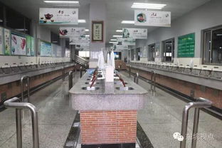 文化經(jīng)紀(jì)促活力，文明創(chuàng)建譜新篇——大東坑的文化服務(wù)實(shí)踐