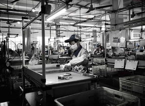 電子廠為何青睞文化較低者？背后真相與文化經(jīng)紀(jì)人的新興服務(wù)